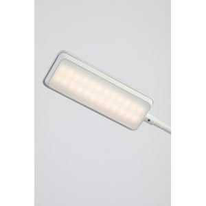 Офисная настольная лампа  NLED-499-10W-W