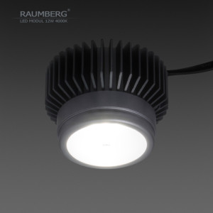 Светодиодный модуль  Raumberg12W4000K