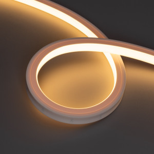 Гибкий неон  050611