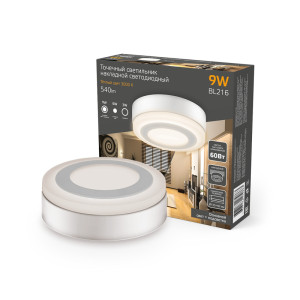 Настенно-потолочный светильник  BL216
