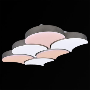 Потолочный светильник  01218-0.3-06LED