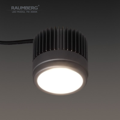 Светодиодный модуль  Raumberg7W3000K